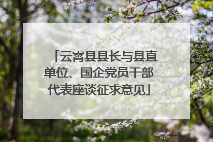 云霄县县长与县直单位、国企党员干部代表座谈征求意见
