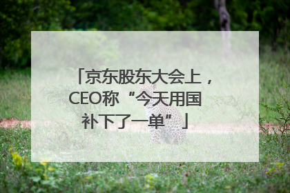 京东股东大会上，CEO称“今天用国补下了一单”