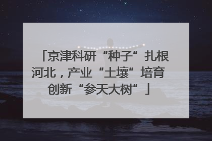 京津科研“种子”扎根河北，产业“土壤”培育创新“参天大树”
