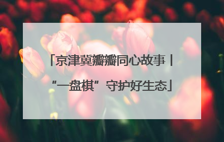京津冀瓣瓣同心故事丨“一盘棋”守护好生态