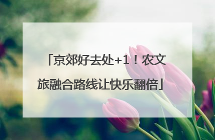 京郊好去处+1！农文旅融合路线让快乐翻倍