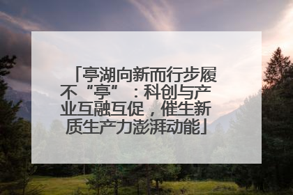 亭湖向新而行步履不“亭”：科创与产业互融互促，催生新质生产力澎湃动能