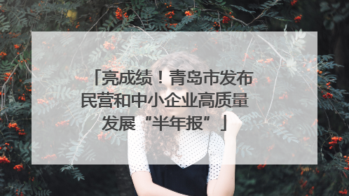 亮成绩！青岛市发布民营和中小企业高质量发展“半年报”