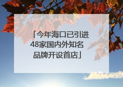 今年海口已引进48家国内外知名品牌开设首店