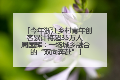 今年浙江乡村青年创客累计将超35万人 周国辉：一场城乡融合的“双向奔赴”