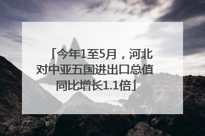 今年1至5月，河北对中亚五国进出口总值同比增长1.1倍