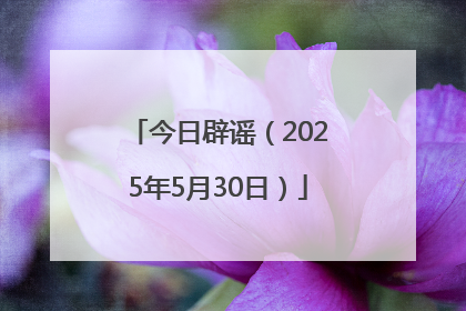 今日辟谣（2025年5月30日）