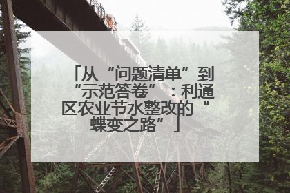 从“问题清单”到“示范答卷”：利通区农业节水整改的“蝶变之路”
