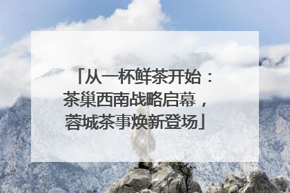 从一杯鲜茶开始：茶巢西南战略启幕，蓉城茶事焕新登场