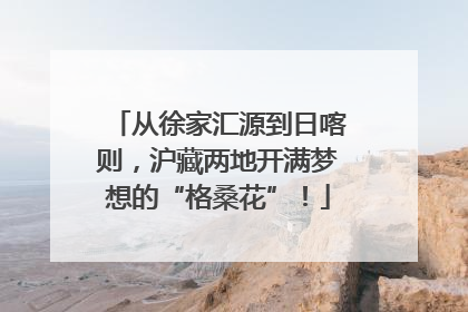 从徐家汇源到日喀则，沪藏两地开满梦想的“格桑花”！