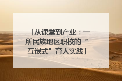 从课堂到产业：一所民族地区职校的“互嵌式”育人实践