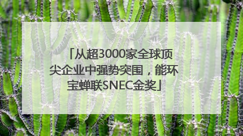 从超3000家全球顶尖企业中强势突围，能环宝蝉联SNEC金奖