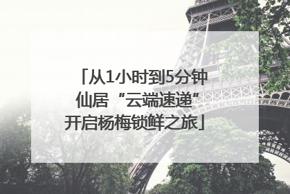 从1小时到5分钟 仙居“云端速递”开启杨梅锁鲜之旅