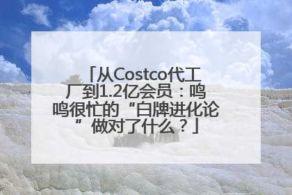 从Costco代工厂到1.2亿会员：鸣鸣很忙的“白牌进化论”做对了什么？