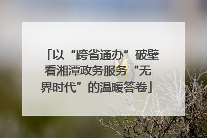 以“跨省通办”破壁 看湘潭政务服务“无界时代”的温暖答卷