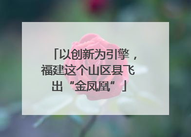 以创新为引擎，福建这个山区县飞出“金凤凰”