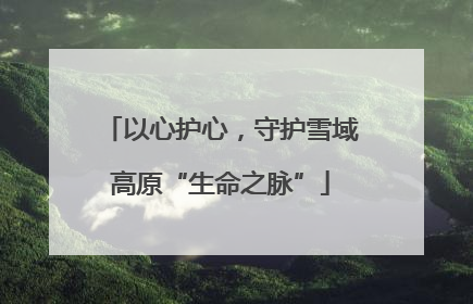 以心护心，守护雪域高原“生命之脉”