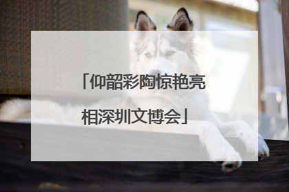 仰韶彩陶惊艳亮相深圳文博会