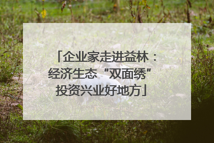 企业家走进益林：经济生态“双面绣” 投资兴业好地方