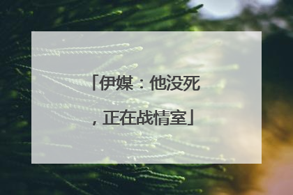 伊媒：他没死，正在战情室