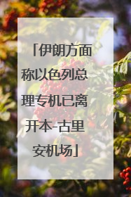 伊朗方面称以色列总理专机已离开本-古里安机场