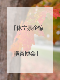 休宁茶企惊艳茶博会