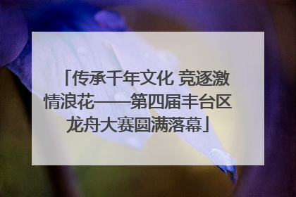 传承千年文化 竞逐激情浪花——第四届丰台区龙舟大赛圆满落幕