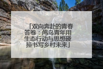 双向奔赴的青春答卷：鸬鸟青年用生态行动与思想碰撞书写乡村未来