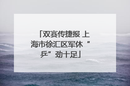 双赛传捷报 上海市徐汇区军休“乒”劲十足