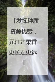 发挥种质资源优势，元江芒果香更长走更远