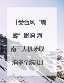 受台风“蝴蝶”影响 海南三大机场取消多个航班