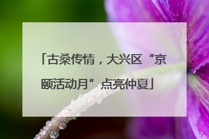 古桑传情，大兴区“京颐活动月”点亮仲夏