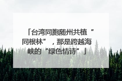 台湾同胞随州共植“同根林”，那是跨越海峡的“绿色情诗”