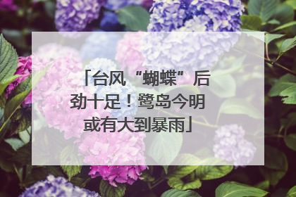 台风“蝴蝶”后劲十足！鹭岛今明或有大到暴雨