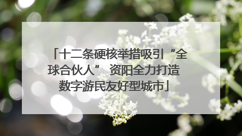 十二条硬核举措吸引“全球合伙人” 资阳全力打造数字游民友好型城市
