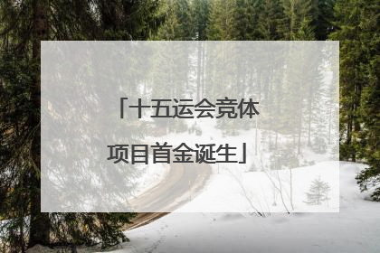 十五运会竞体项目首金诞生