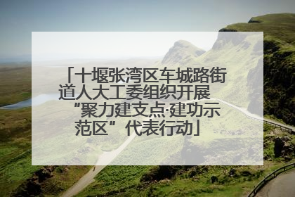 十堰张湾区车城路街道人大工委组织开展 “聚力建支点·建功示范区”代表行动