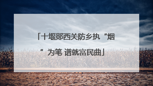 十堰郧西关防乡执“烟”为笔 谱就富民曲