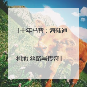 千年马巷：海陆通利地 丝路写传奇