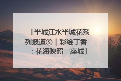 半城江水半城花系列报道⑤｜彩绘丁香：花海映照一座城