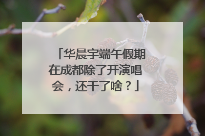 华晨宇端午假期在成都除了开演唱会，还干了啥？