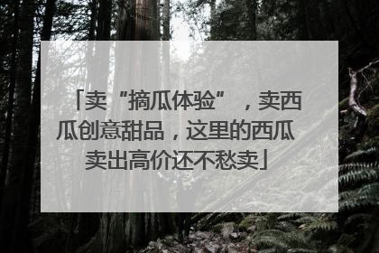 卖“摘瓜体验”，卖西瓜创意甜品，这里的西瓜卖出高价还不愁卖