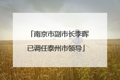 南京市副市长李晖已调任泰州市领导