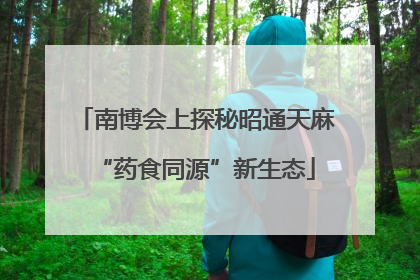 南博会上探秘昭通天麻“药食同源”新生态