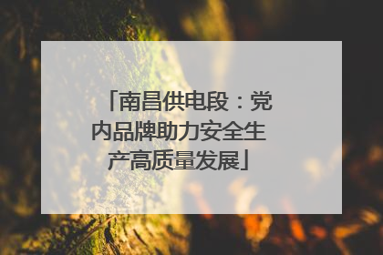 南昌供电段：党内品牌助力安全生产高质量发展