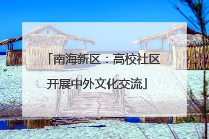 南海新区：高校社区开展中外文化交流
