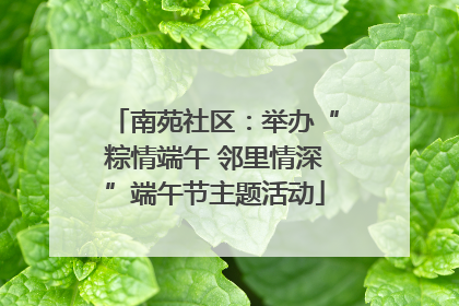 南苑社区：举办“粽情端午 邻里情深”端午节主题活动