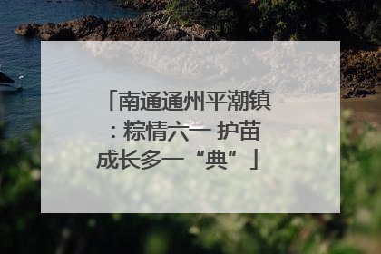 南通通州平潮镇：粽情六一 护苗成长多一“典”