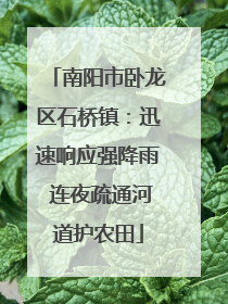 南阳市卧龙区石桥镇：迅速响应强降雨 连夜疏通河道护农田