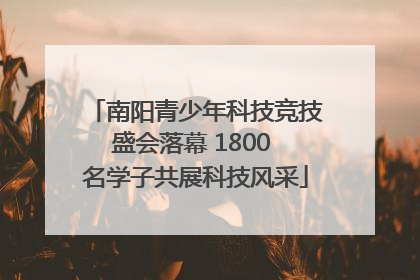 南阳青少年科技竞技盛会落幕 1800 名学子共展科技风采